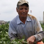latino Worker