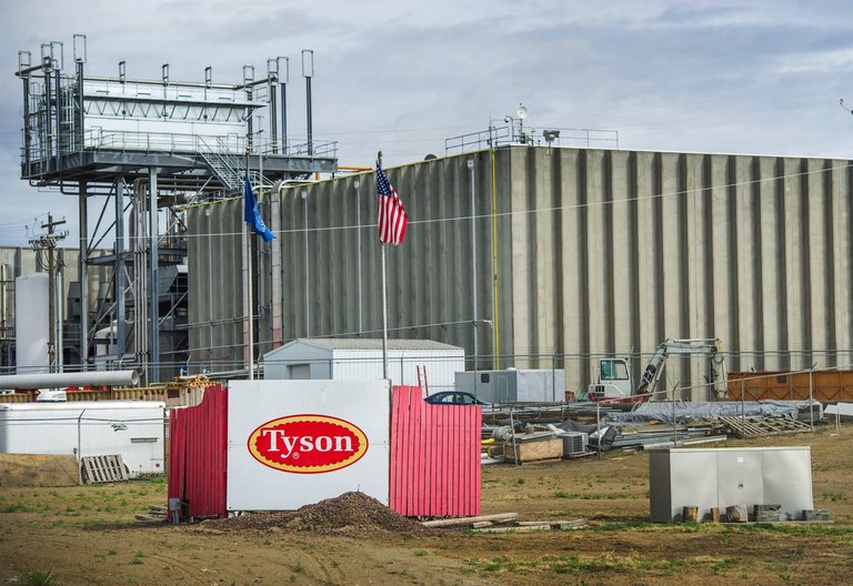 Workers say COVID19 safety protections came too late at Washington