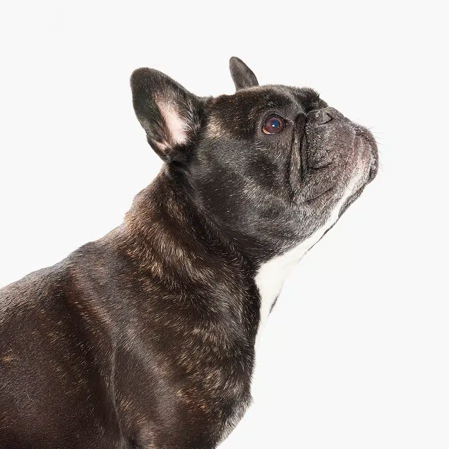 Ruby Cipriani