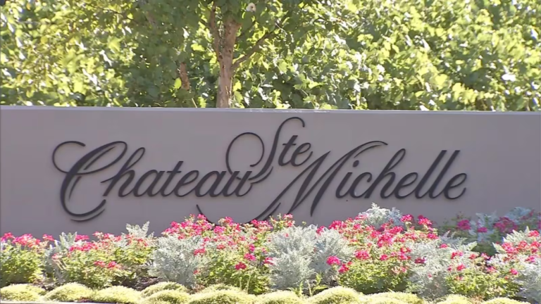 Chateau Ste Michelle courtesy of KIRO7